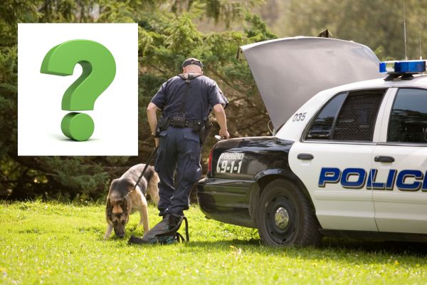 Know your rights: When the police can search your RV without a warrant