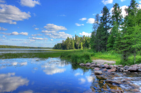MN Lake Itaska state park Image: goodfreephotos.com