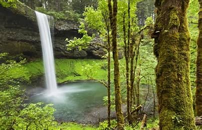 Oregon’s Silver Falls State Park campground reopens
