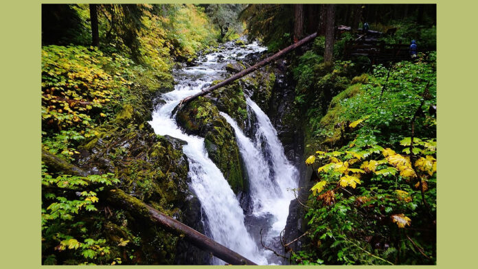 Olympic National Park waterfall death