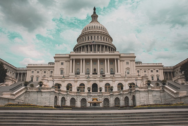 US Capitol bldg Pixabay image
