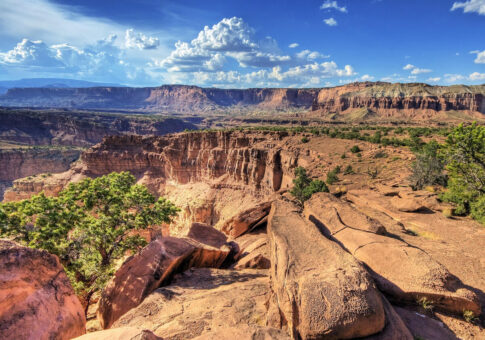 National Park Service staffing cuts