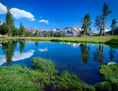 Tuolumne Meadows campground reopens Image: Christine White Loberg NPS website