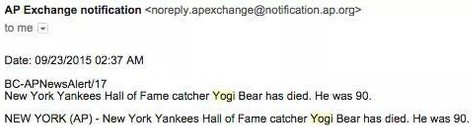 yogi-bear