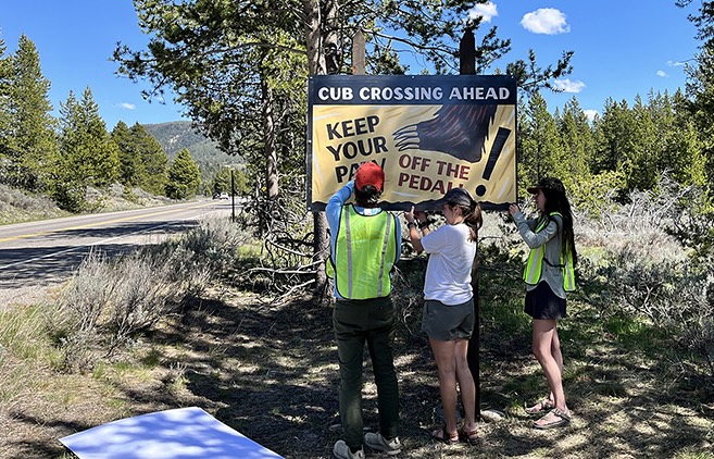 Butting up bear warning road signs