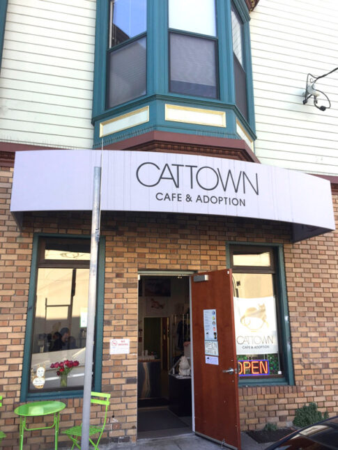 exterior of Cattown in Oakland, CA Image: https://makeupandbeautyblog.com/daily-photo/oakland-cat-town-cafe-adoption-center-nations-first-cat-cafe/