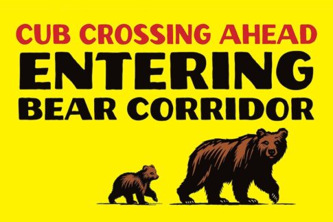 Bear crossing sign