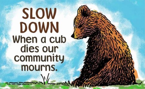 Sad bear road sign