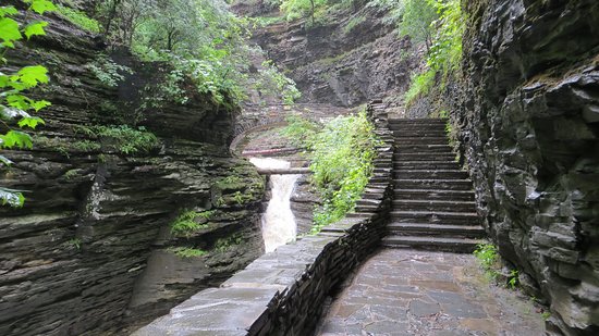 Watkins Glen State Park in New York Image: Trip Advisor