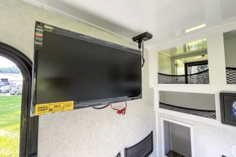 Modern Buggy big screen TV