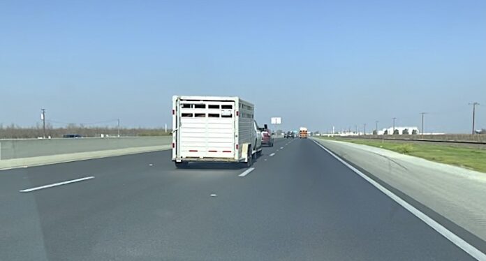 Left lane traffic