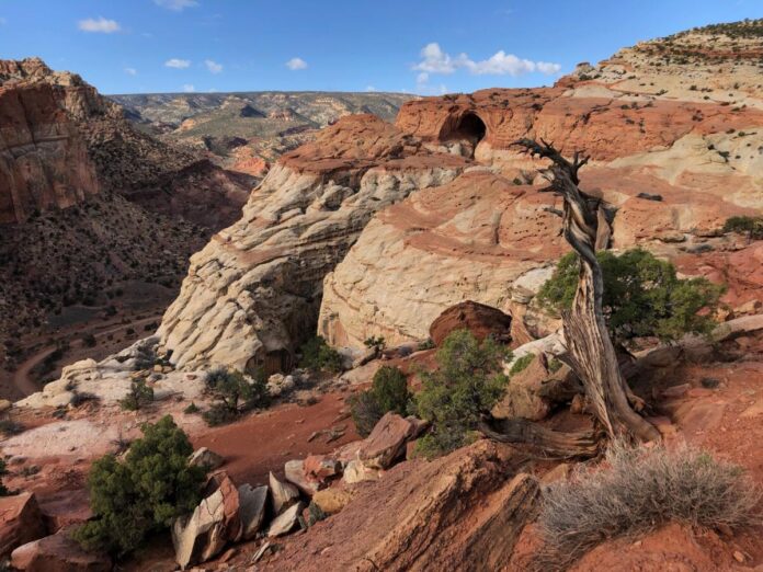 Capitol Reef National Park Image: NPS