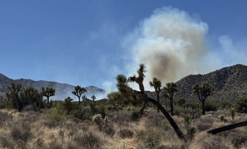 Joshua Tree RV campground closed