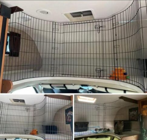 Dog kennel pieces help secure kitty Image: Facebook (Irene Charlotte)