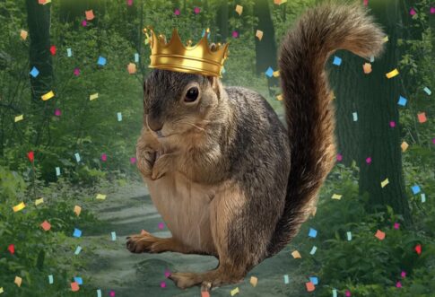 Fat squirrel