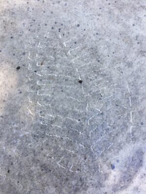 Gooey Roof 1