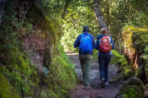 impact of government shutdown on national parks
