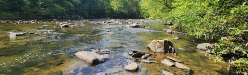 Bluestone National Historic River WV NPS image 