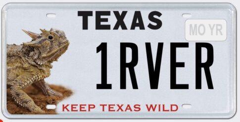 Horned Lizard License Plate