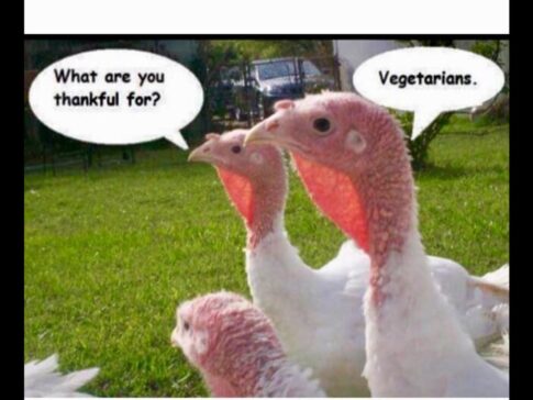Vegetarians