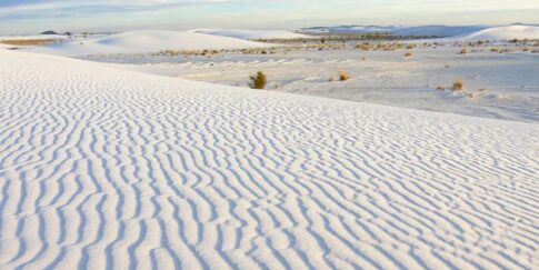 Whitesands