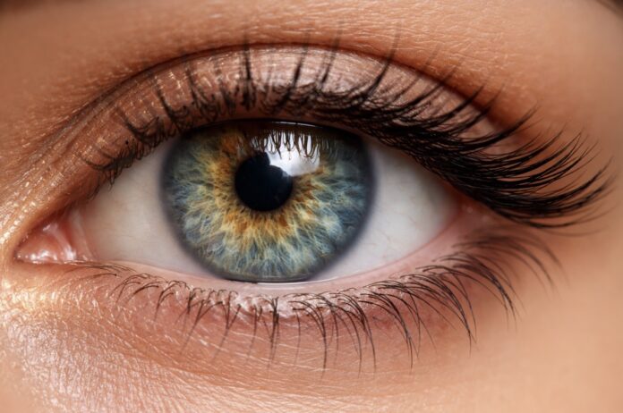 Close up of human eye