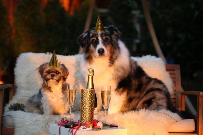 New Years Day 1090770 1280