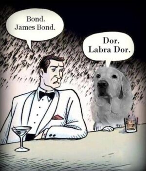 Cartoon