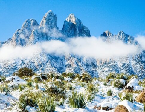 Desert Winter in New Mexico