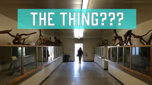 The Thing Museum Museum image