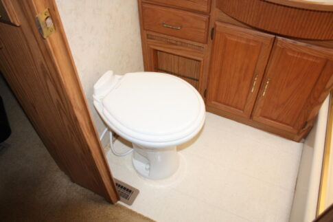 Brave Toilet