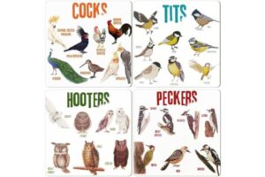 bird pun coasters