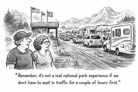 Nptraffic