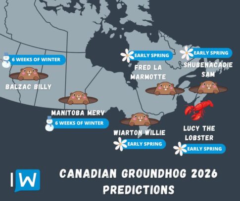 Ontariogroundhog