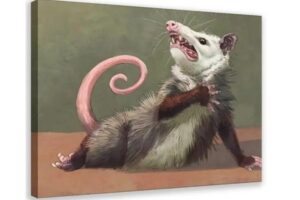possum wall art