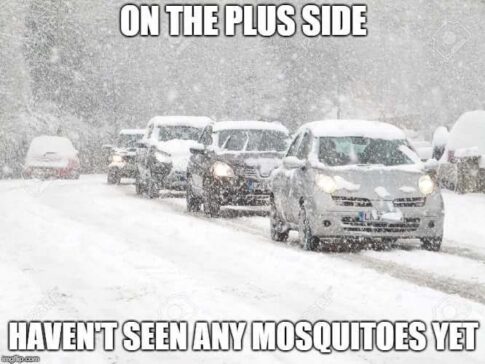 Snow