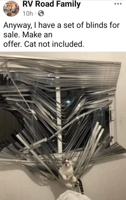 Catblinds