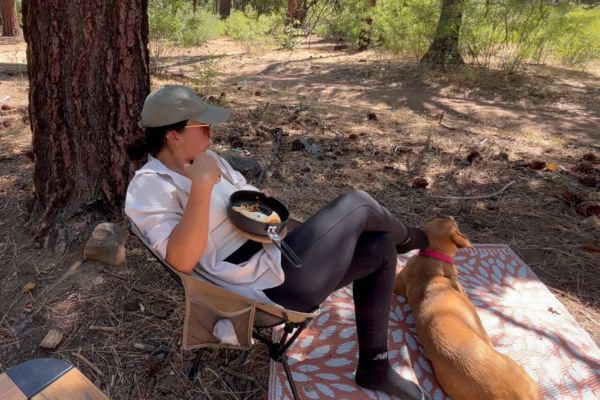 The reality of visiting Yosemite National Park with a dog