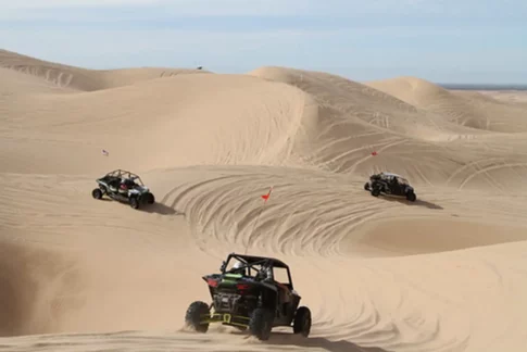 Imperial Sand Dunes BLM image