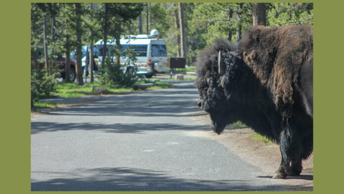 national park mistakes RVers