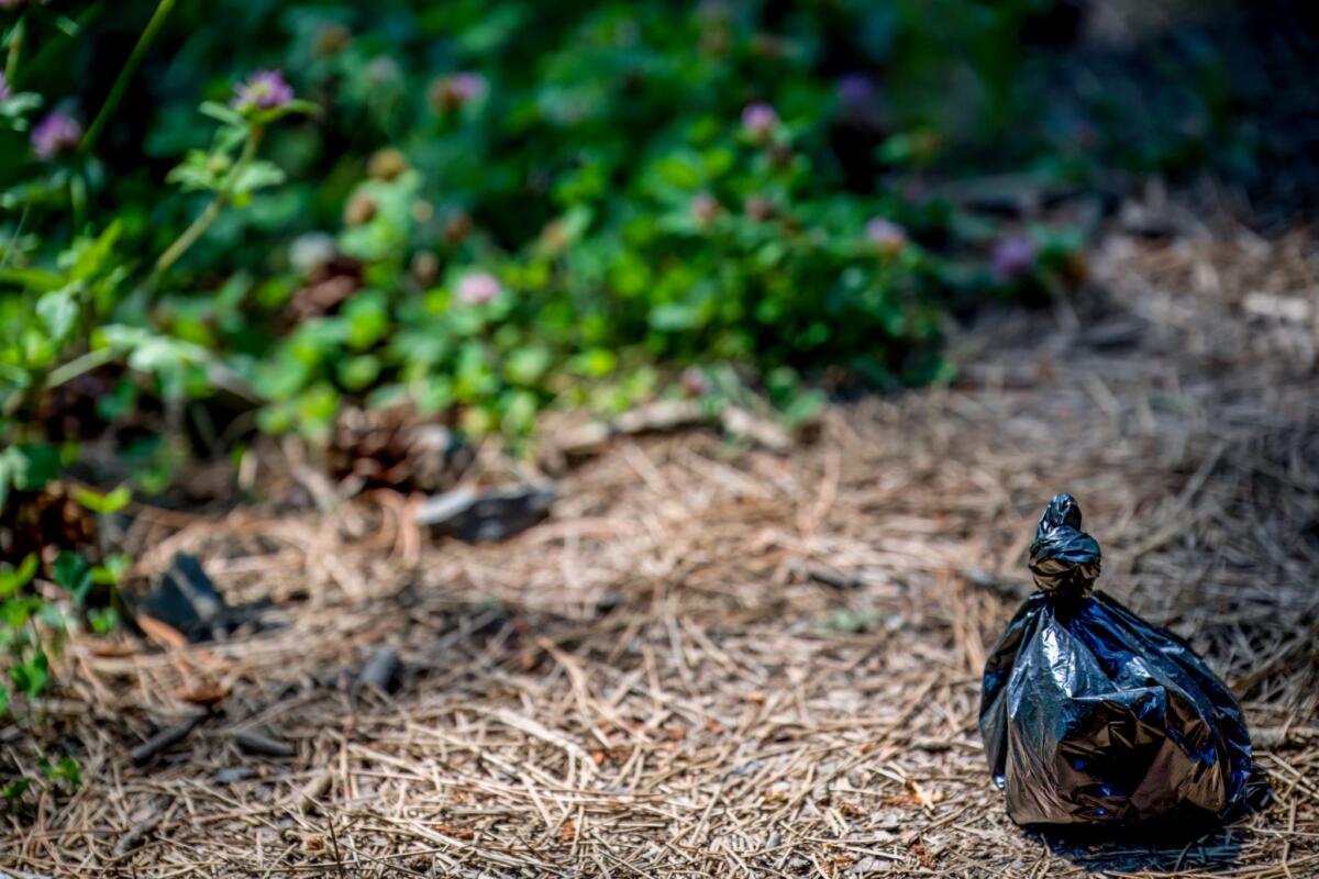 130 pounds of dog poop pulled from two Colorado trails, raising serious concerns