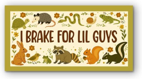 Lilguybumper