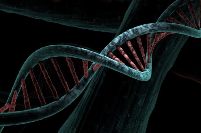 Mirerek8 Dna 6517209