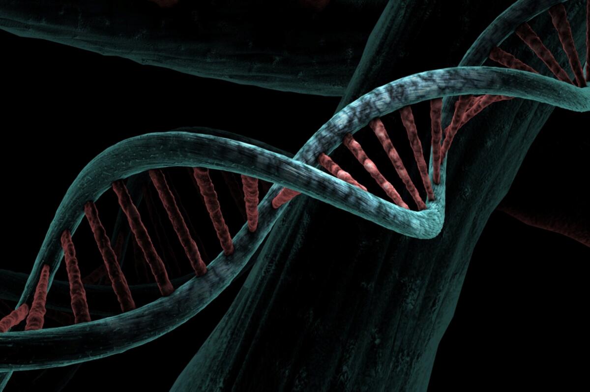 Have you taken an ancestry DNA test like 23andMe or AncestryDNA?