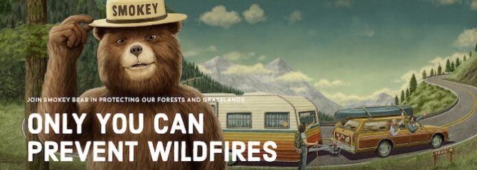 Smokey Bear Ad