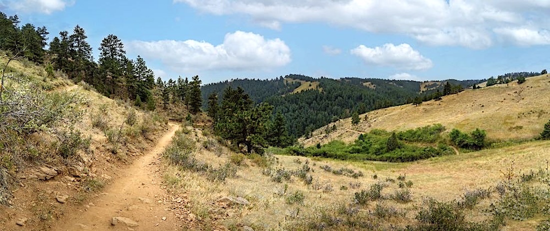 Bear threatens hiker in Colorado for 30 minutes, then leaves to follow other hikers
