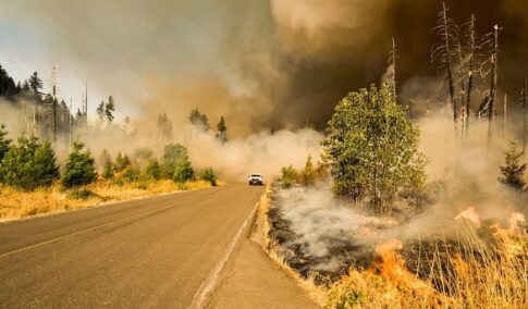forest fire image; park.ca