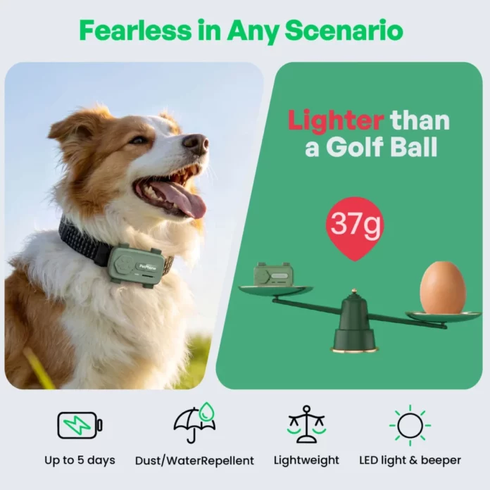 PetPhone on dog's collar Image: https://eu.glocalme.com/products/petphone
