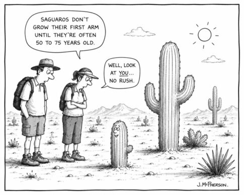 Saguaro